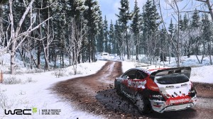 WRC 5 Solberg in Schweden (Screenshot: DELASOCIAL GmbH)