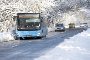 Busse im Schnee (Foto: WSW)